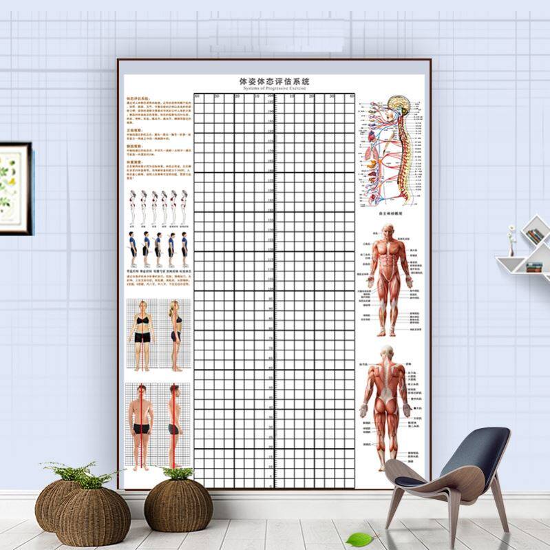 Ecology Assessment Form Hanging Gym Evaluation of Medical Physical Correction Mesh Yoga Museum Background Pavilion