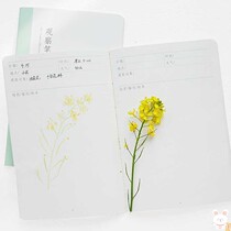 Primary school Childrens Kindergarten Plants Point of view Recording this Kindergarten Child Growth Watch Record This notepad
