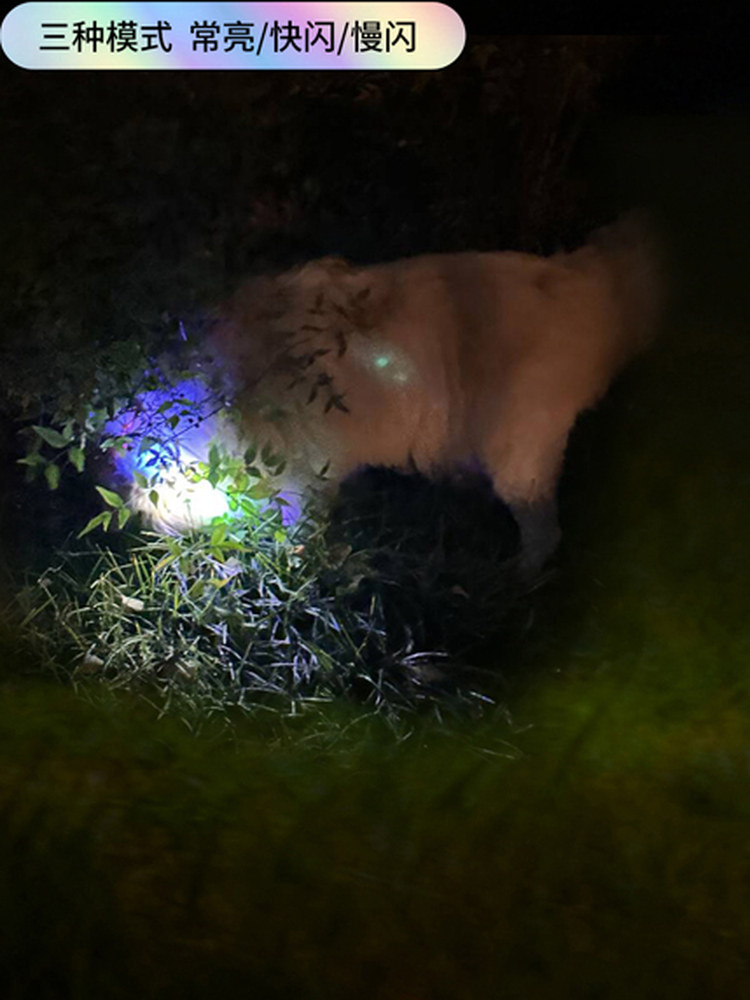 Chukchi Pet Luminous Collar for Medium and Large Dogs USB Rechargeable Led Dog Anti-Lost Colorful Collar with Leash