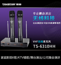 Takstar wins TS-6310 stage wireless microphone handheld KTV home K song microphone one drag two