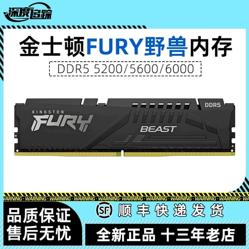 Kingston FURY Beast Series Hacker God ddr5 4800/5200/5600/6000 Память 16 ГБ
