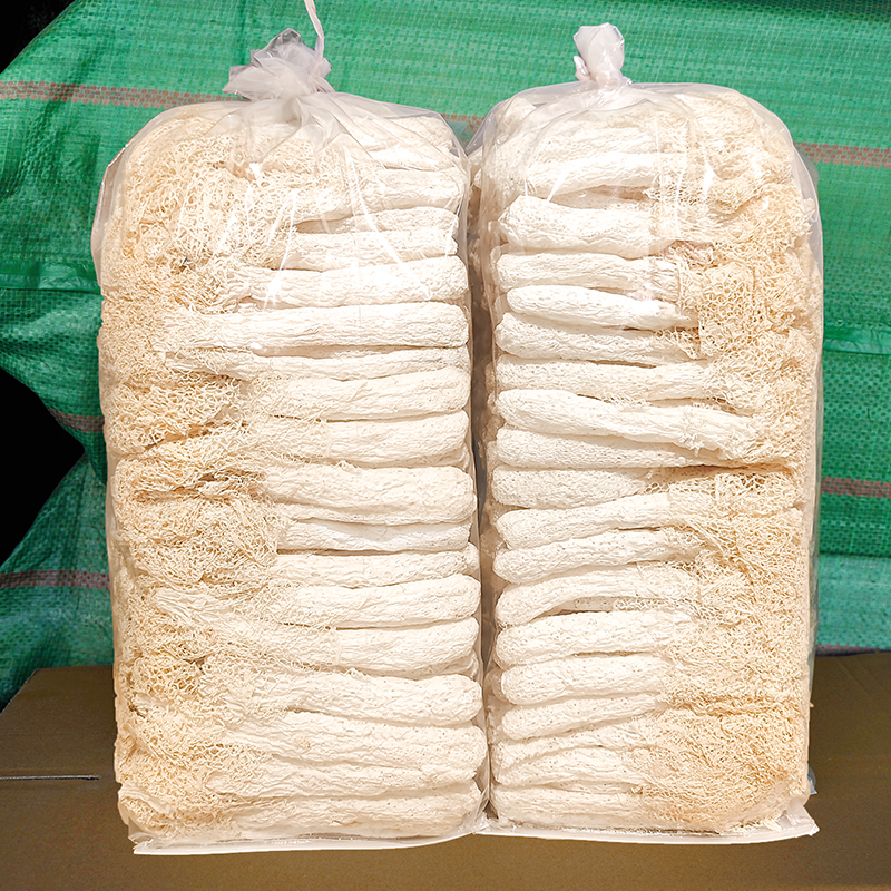 新竹菌乾燥品500g特選野生スープ材料竹菌新鮮無硫黄食用キノコ竹菌