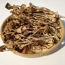 Farmers produce Fujian Gutian fresh tea tree mushrooms 100g specialty wild tea tree mushrooms dry goods do not open umbrellas