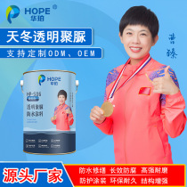 Tiandong transparent polyurea coating grouting liquid one-component waterproof coating paint anti-corrosion protection wear-resistant polyurea