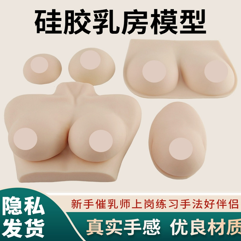 女性硅胶乳房模型 催乳师培训道具哺乳E教学模型假乳房医学教具