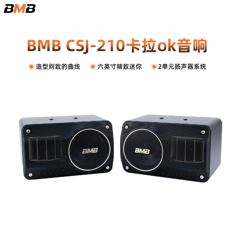 BMB CSJ-210 home ktv audio home living room karaoke theater bar 10 inch speaker