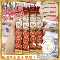 In stock~Japan CANMAKE Ida ultra-fine silky eyeliner glue pen Waterproof eyeliner 05 caramel color