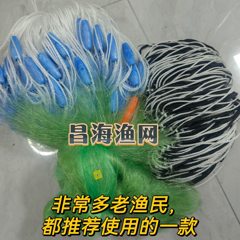 巢湖槐林昌海渔网的LOGO