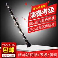 Yamaha Clariner Dow