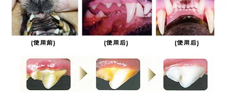 [] US Senach Siêu cảm giác tập trung chó cưng và chó phổ thông cùng với thuốc chữa hôi miệng khó thở 237ml - Cat / Dog Medical Supplies