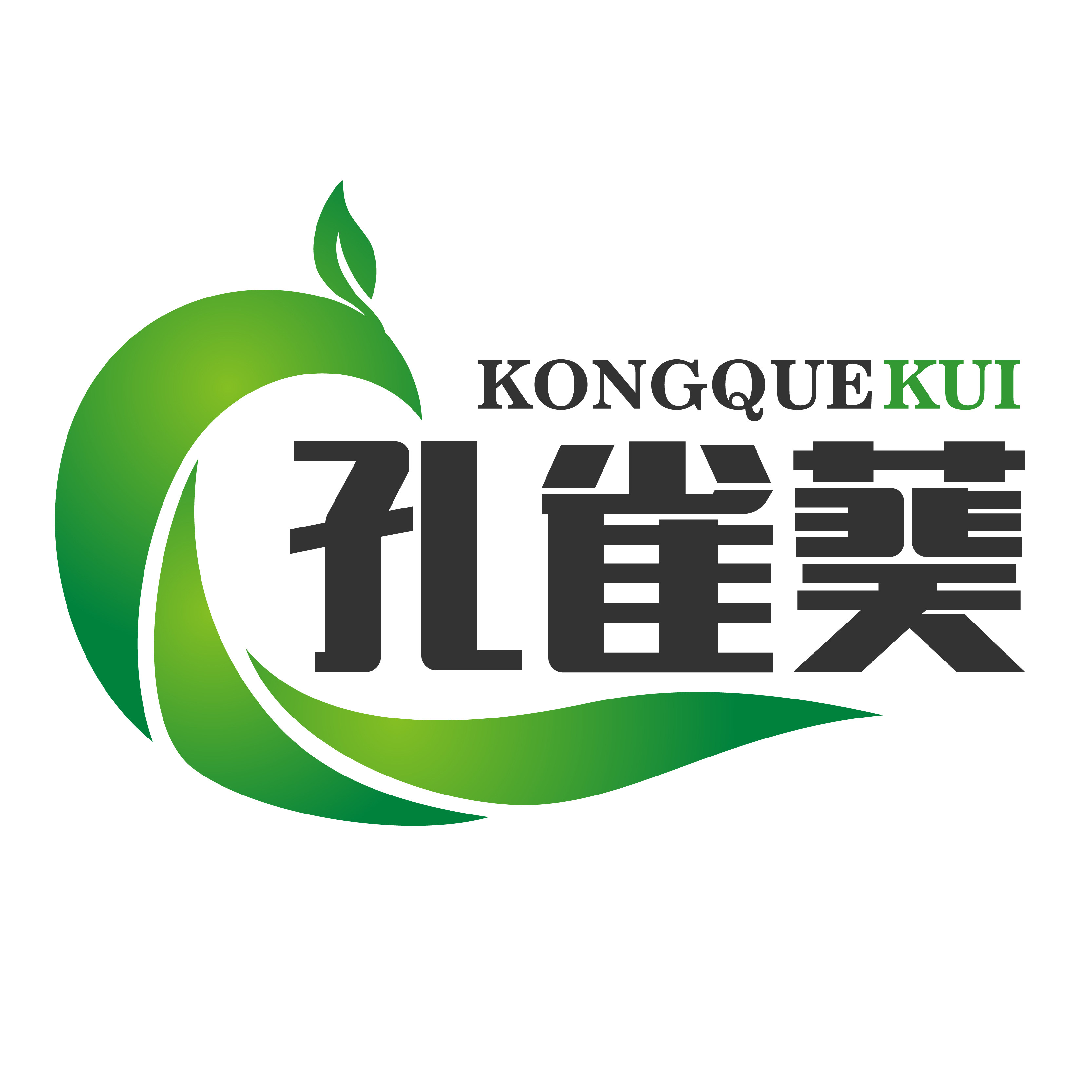 孔雀葵投影幕的LOGO