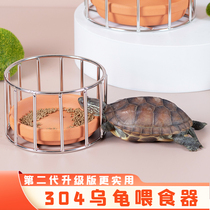 Tortue Tortue Tortue Fry Pan Water Programme de la tortue pantortue Bassin deau Drink Eau Fêtes darête jaune Big Mini Table des aliments