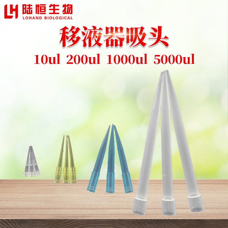移液器吸头 吸嘴 大龙百得通用 10ul 200ul 300ul 1000ul 5000ul