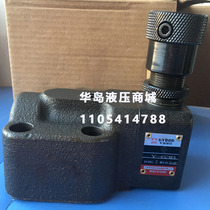 HYDOR Huadao Hydraulic Relief Valve Y1-10B Y1-25B Y1-63B Shanghai Huadao Hydraulic