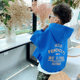 Boys' fleece sweatshirt 2024 spring and autumn trendy cool hooded medium and large children's style jacket zipper autumn new top