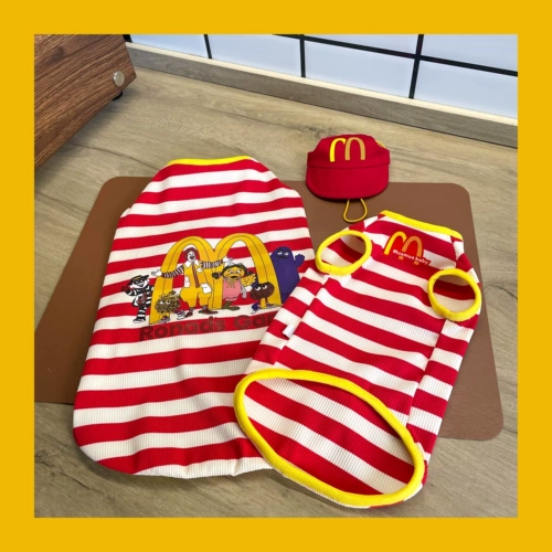 Muamuababy Cat Owne Comply Olde Sphinx Devin Интернет -кондиционер