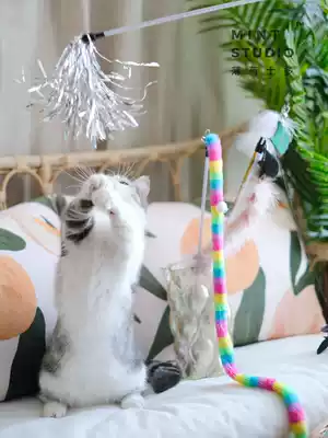 Peppermint TOUCHCAT cat stick ~ feather spike sound paper fairy stick lengthy plush long pole color strip