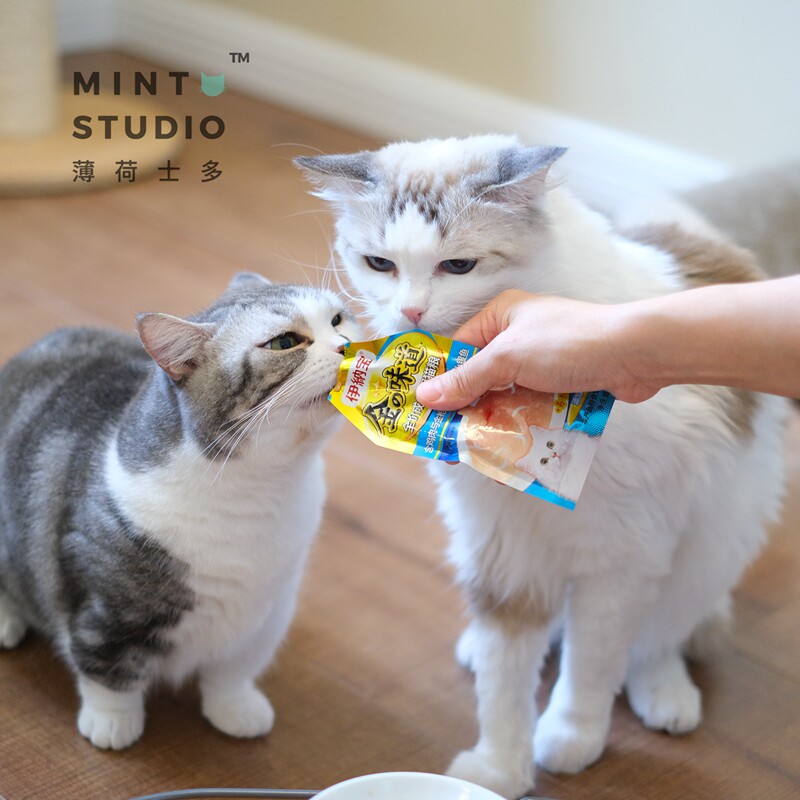 Mint Shido Inabao cat snacks nutrition mixed kitten food into pregnant cat non-staple food liquid wet food canned 12 packs