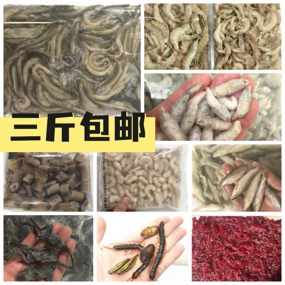 Fresh frozen small river shrimp, small loach, wheat ear fish, red dragon feed, stingray tiger fish, frozen loach segment, green shrimp fish food