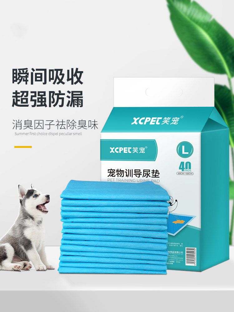 Dog diapers dog pad diapers 100 pieces pet diapers cat Teddy absorbent pad large training supplies