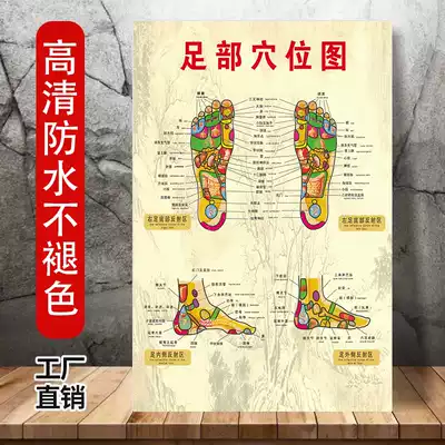 Human foot reflex zone wall map foot massage acupoint picture foot therapy acupoint foot soles beauty salon poster