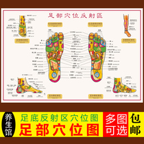 Human foot reflex zone wall map foot massage acupoint picture foot therapy foot soles Chinese Medicine Health Beauty Salon poster