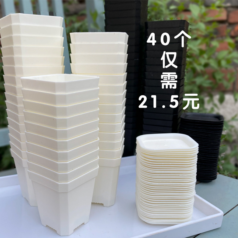 Hot selling star anise thickened small white square succulent pot extra thick plastic square plant leaf cutting seedling pot large black square pot