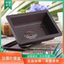 Plastic imitation purple sand fleshy flowerpot rectangular thickened frosted group stone flower sowing seedling leaf pot can be equipped with tray