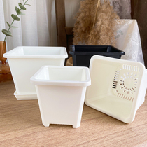 Plastic fleshy flowerpot ebony sedum small square pot super thick old pile small group pot black and white extra hard stone flower Korea