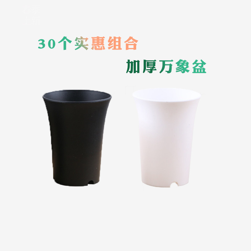 (Round Vientiane Basin Combination) Thickened round fleshy small flower green plant black and white high waist plastic control root twelve rolls