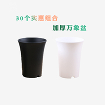 (round Vientiane basin combination) thickened round fleshy flower green plant black and white high waist plastic root control 12 rolls