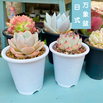 The new second-generation fleshy flowerpot Japanese round basin Vientiane basin mouth thickened bottom permeable new material feels good