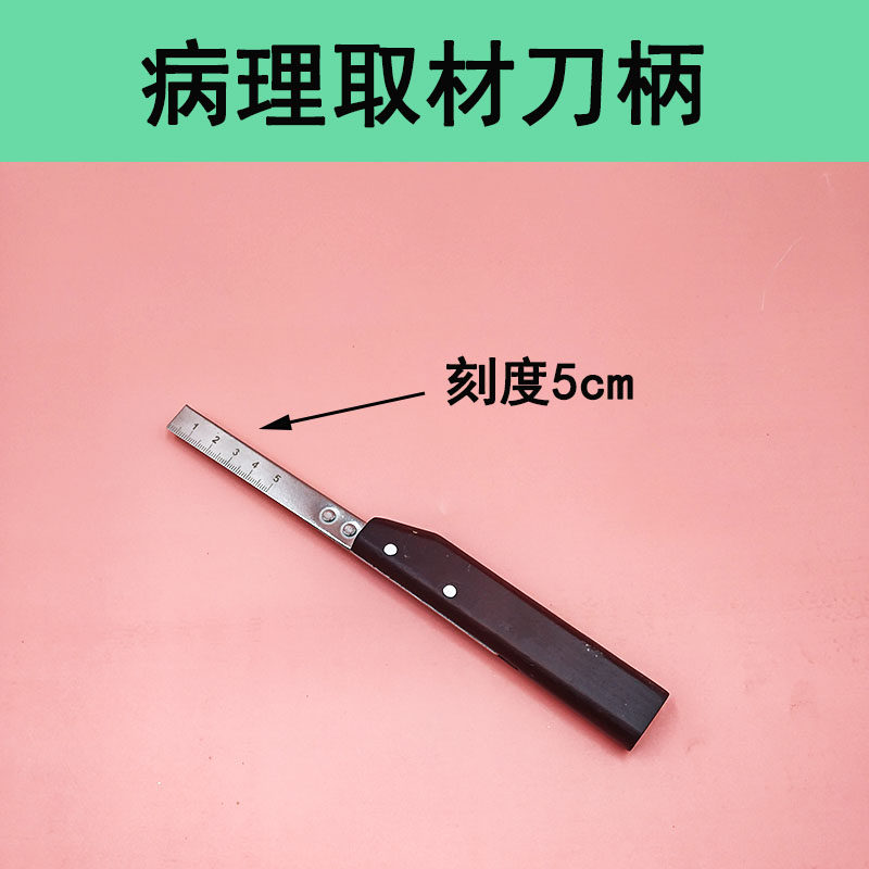 病理取材刀柄带刻度木制柄搭配莱卡819刀片羽毛R35组织取材包邮