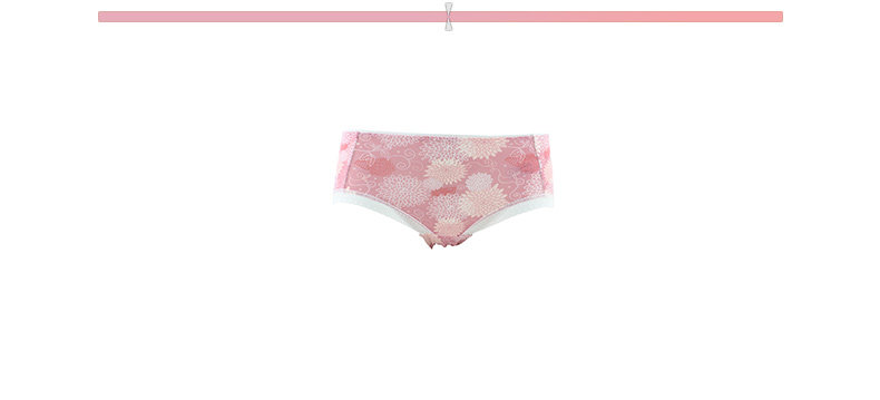 Slip jeunesse E17191 en coton - Ref 668713 Image 9