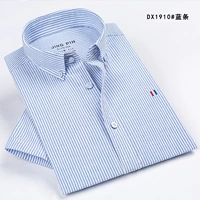 DX1910#синий и белый