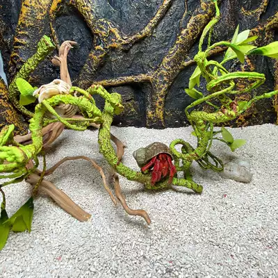 Simulation tree Vine reptile landscape with rattan chameleon lizard hermit crab climbing tank sunken rhododendron root