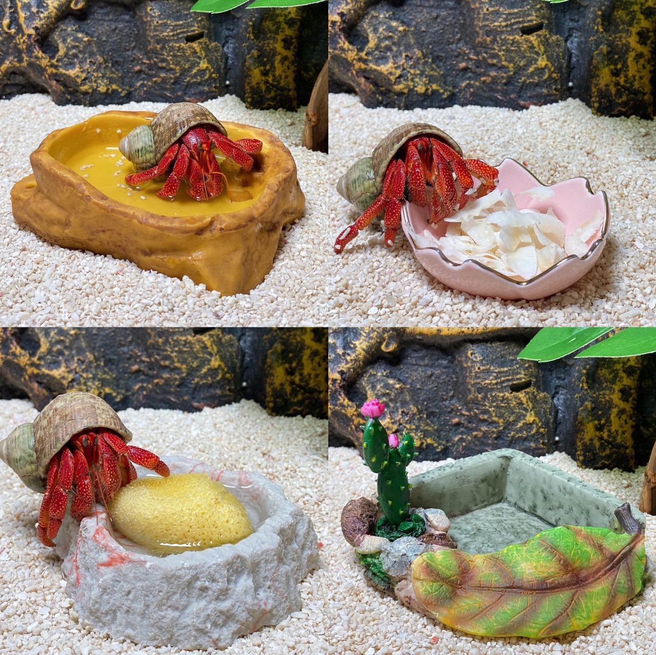 Hermit crab supplies water basin bath tub breeding box food landscaping pot decoration ornaments crawling pet cute anti-drowning
