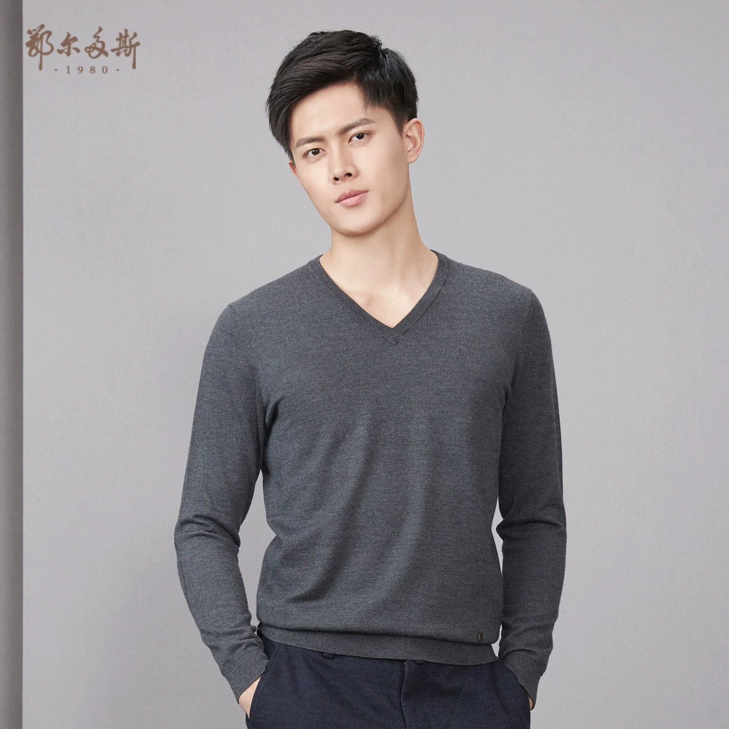 Ordos 198019 mùa thu và mùa đông sản phẩm mới tinh khiết cashmere V-cổ đơn giản áo len dệt kim nam C196A0114 - Cặp đôi áo len