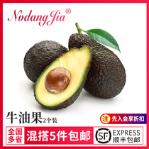 Fresh avocado 2 pack medium large fruit fresh seasonal fruit avocado salad ingredients single fruit 150g-180g