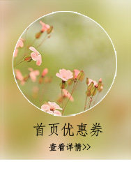 Slip C9401 en coton - Ref 642970 Image 28