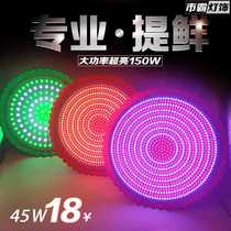 Highlight chilled fresh fresh light cold fresh meat special lace Volt 12vled energy-saving lamp beads 24v48 photo E27