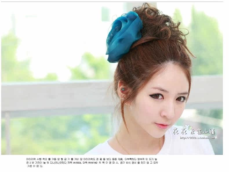 Extension cheveux - Chignon - Ref 248383 Image 19