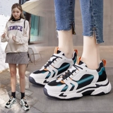 Tide, демисезонная обувь, универсальные утепленные спортивные туфли на платформе, коллекция 2021, тренд сезона