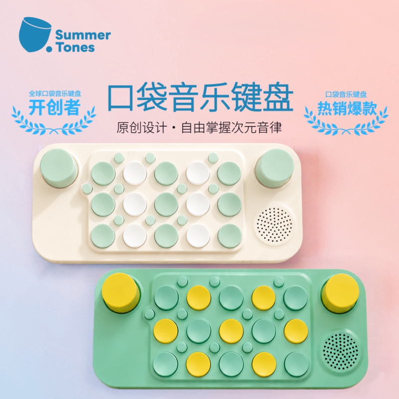 Pocket Music Keyboard Electronic Organ Midi Arranger Piano for Children Beginners Adults Musical Instrument Girl Birthday Gift