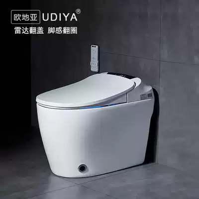 New European intelligent toilet integrated automatic instant hot household toilet remote control Flushing electric toilet