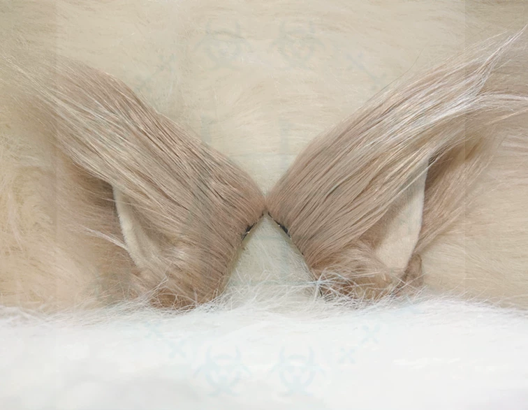  Spot fox demon little celebrity, Tu Yama Su Yarong Yuzao, former Heluo cosplay fox ears