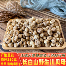 Kawai Mother Wild Growth Baishan Chuan Beicheng Extraordinary Beautiful Misugawa Beimothers