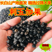 Acanthopanax seed 500g thoracanthopanax Northeastern wild sleep Changbai Mountain Tete-grade fruit tea acanthopanax granules
