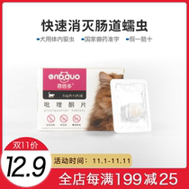 Enbedo cat in vivo anthelmintic drug insecticide pet kitten in vivo and in vitro deworming drug praziquantel tablets