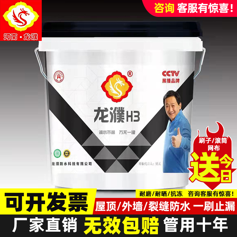 Henan Longpu H3S New Nano Waterproof Material Glue J03 Gray-Blue Exterior Wall Roof Leak Repair Crack Coating